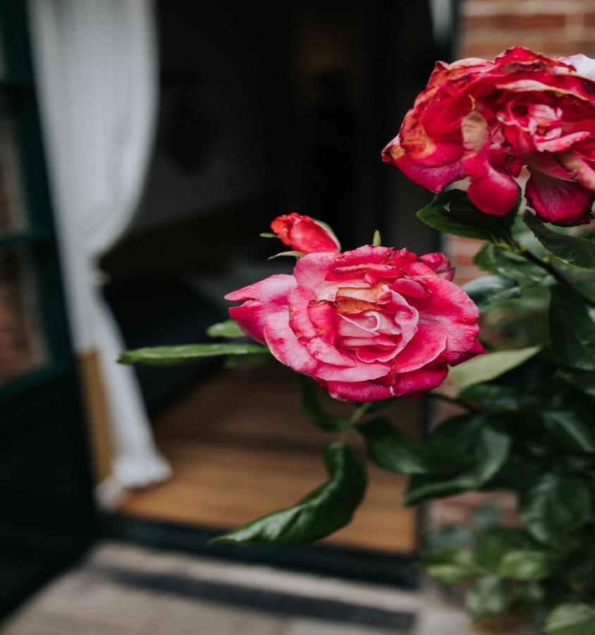 De Vijgenhof Bed & Breakfast Appingedam Dış mekan fotoğraf